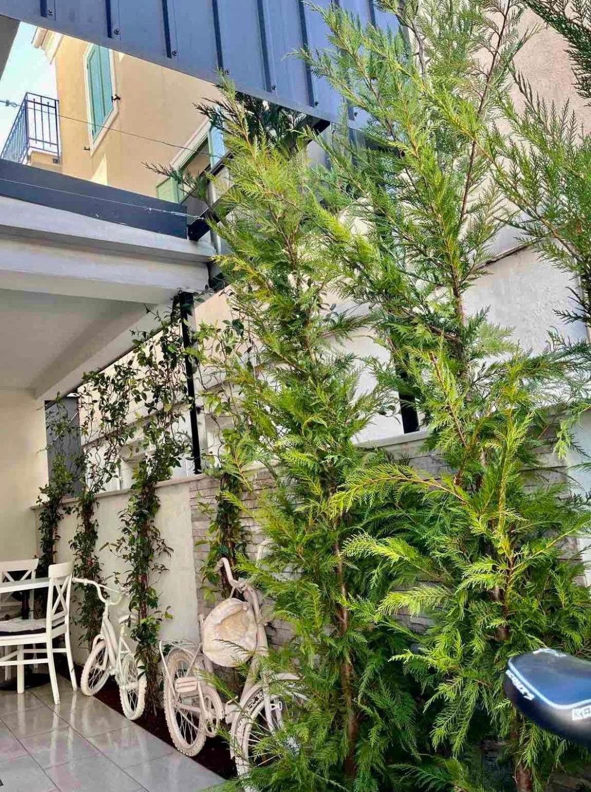 Garni Hotel Tianis Kotor Eksteriør bilde